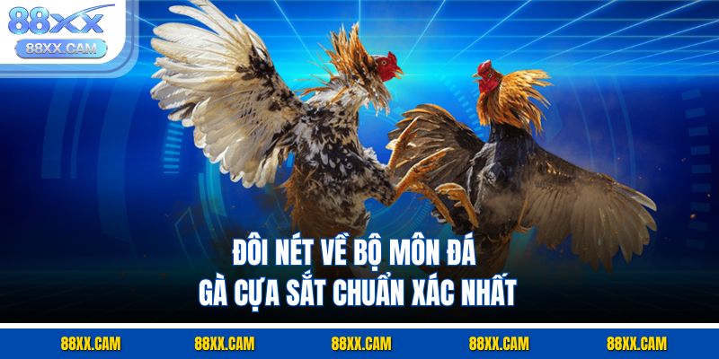 Đôi nét về bộ môn đá gà cựa sắt chuẩn xác nhất Đôi nét về bộ môn đá gà cựa sắt chuẩn xác nhất